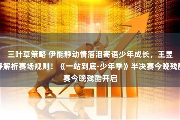 三叶草策略 伊能静动情落泪寄语少年成长，王昱珩冷静解析赛场规则！《一站到底·少年季》半决赛今晚残酷开启